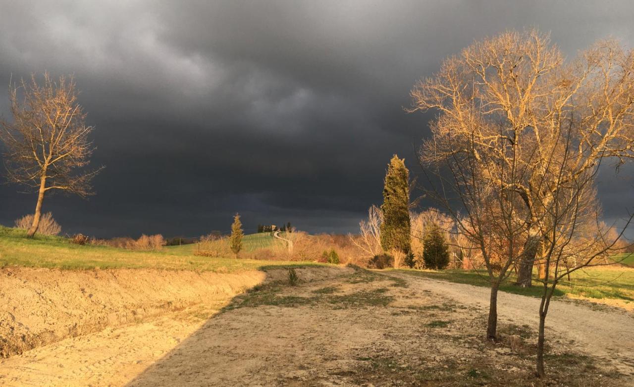 Vento D'Orcia Villa Pienza Eksteriør billede