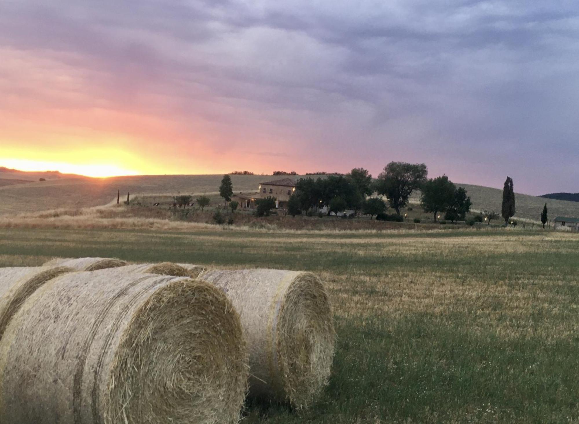Vento D'Orcia Villa Pienza Eksteriør billede
