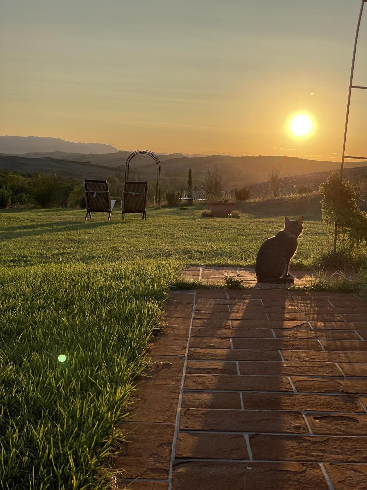 Vento D'Orcia Villa Pienza Eksteriør billede
