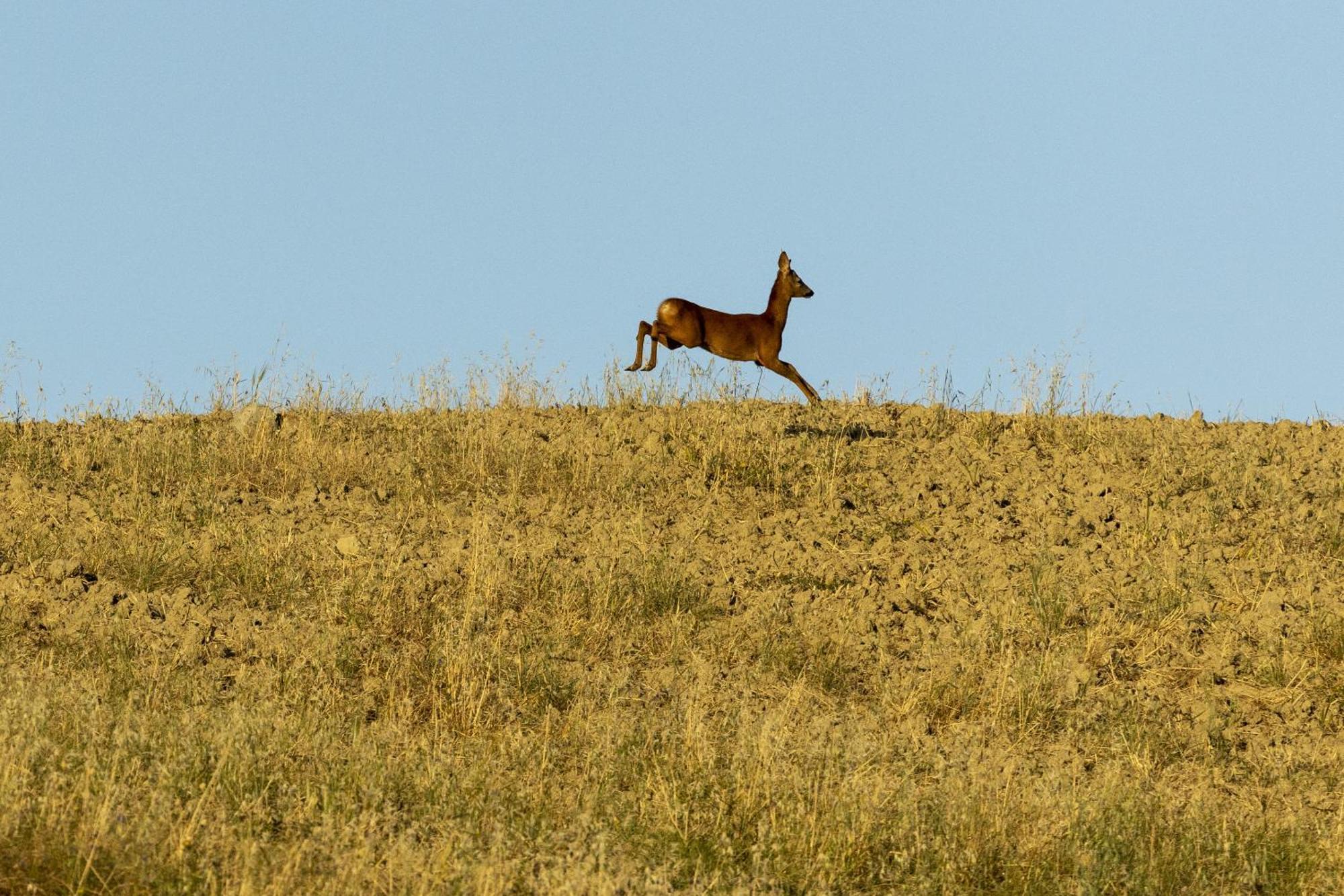 Vento D'Orcia Villa Pienza Eksteriør billede