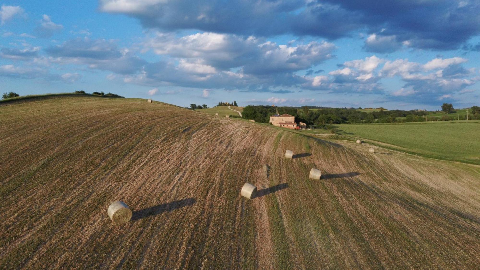 Vento D'Orcia Villa Pienza Eksteriør billede