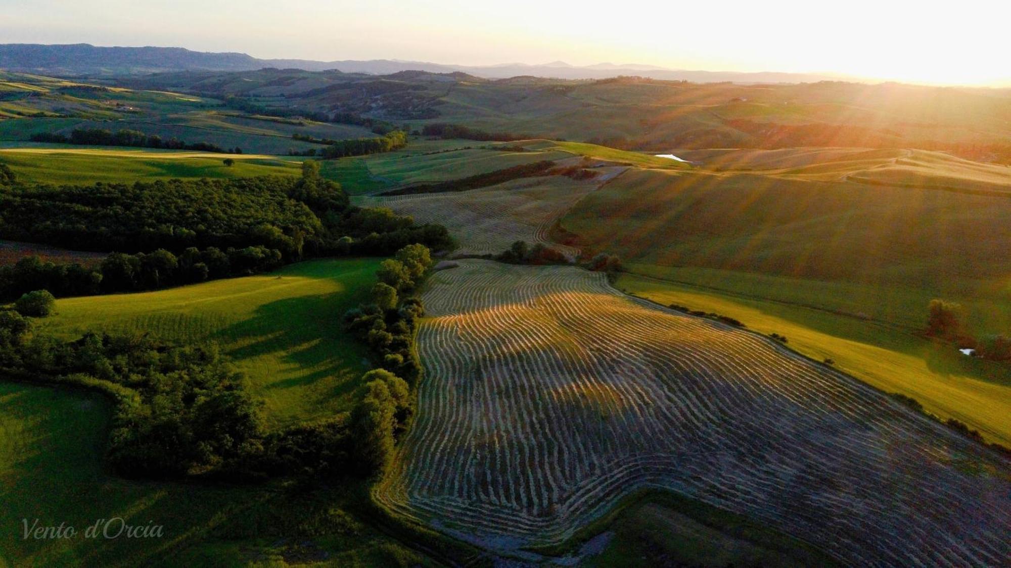 Vento D'Orcia Villa Pienza Eksteriør billede